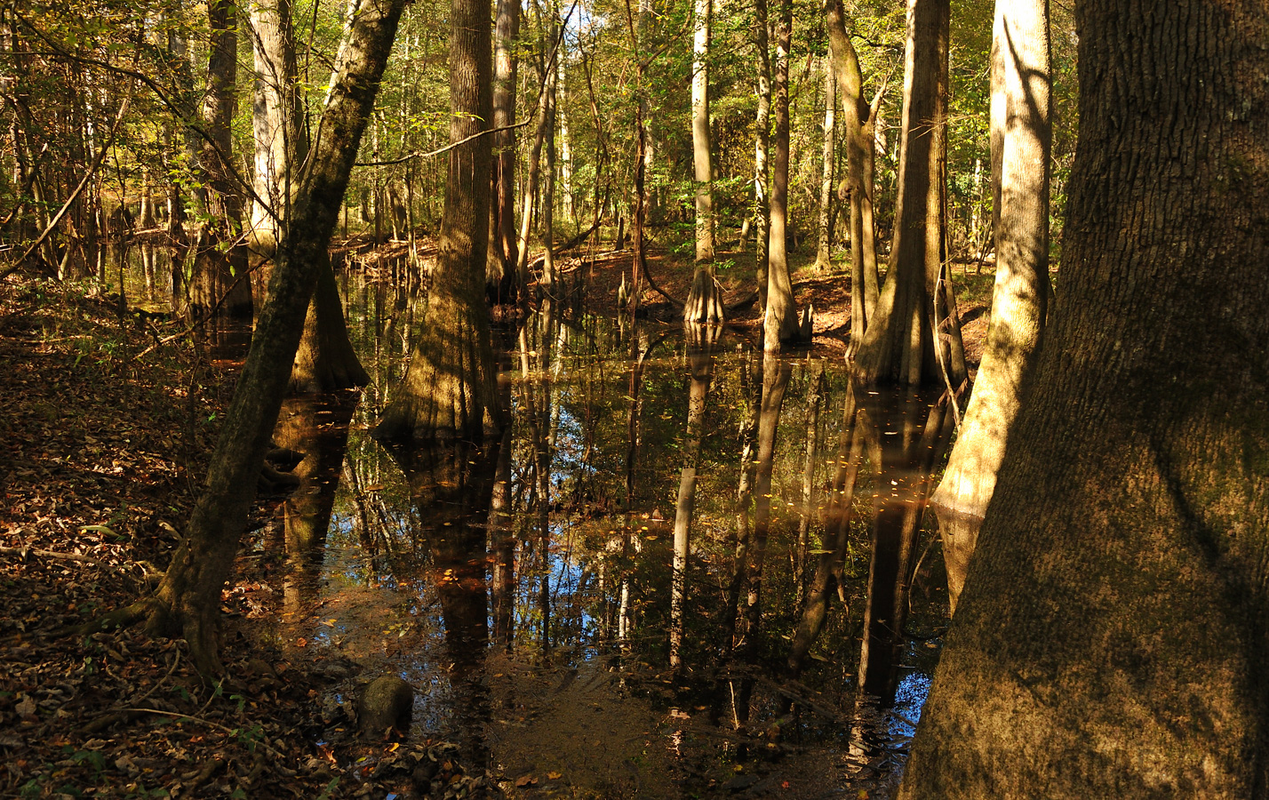 South Carolina [28 mm, 1/125 Sek. bei f / 8.0, ISO 800]